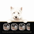 thumbnail image 2 of Cesar Filets en Sauce Saveur New York Strip Nourriture Humide Douce pour Chien, 100 g, 2 of 4