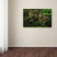 thumbnail image 3 of Trademark Fine Art "The Apple Tree" Canvas Art by Philippe Sainte-Laudy, 3 of 3