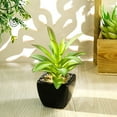 thumbnail image 5 of Potted Plant Simulated Easy to Care Mini Assorted Decorative Succulent Artificial Pot for Home Black Ceramic, 5 of 8