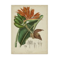 Trademark Fine Art 'Twining Botanicals III' Canvas Art by Elizabeth Twining