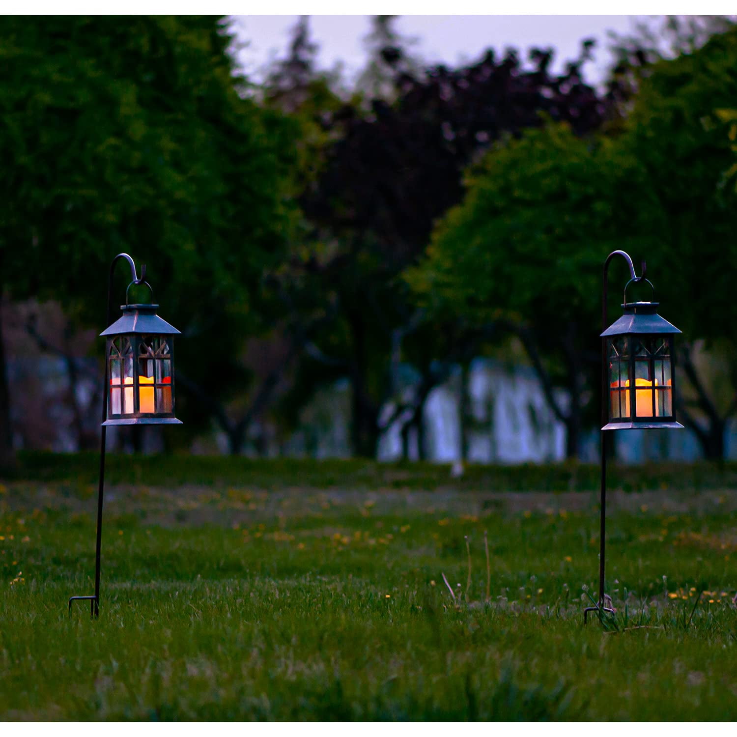 Buy Solar Globe Lantern - Bronze: Delivery By