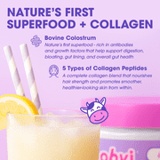 Obvi Collagen Colostrum Lemon Sorbet