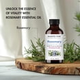 thumbnail image 5 of Majestic Pure Rosemary Essential Oil, Premium Grade, Pure and Natural, for Aromatherapy, Massage, Topical & Household Uses, 1 fl oz, 5 of 10