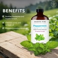 thumbnail image 2 of MAJESTIC PURE Peppermint Essential Oil | 100% Pure and Natural Peppermint Oil | Premium Grade Essential Oils for Hair Care, Home Diffusers, Skin, Aromatherapy, Massage and Humidifiers | 4 fl oz, 2 of 10