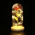thumbnail image 4 of Abbracc shamjina Rose Lamp Lights,LED Eternal Roses For Wedding Anniversary Red, 4 of 9