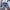 Dark Blue, variant on MTBLYS Shorts for Women Leisure Solid Color Shorts - High-Waist, Summer, and Tummy Control Athletic Shorts for Women