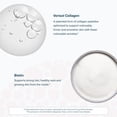 thumbnail image 5 of Youtheory Concentrated Effect Collagen with Verisol - Advanced Collagen Supplement - Supports Skin, Hair Thickness & Nail Strength - with Biotin & Vitamin C - Gluten, Soy & Dairy Free - 180 Tablets, 5 of 7