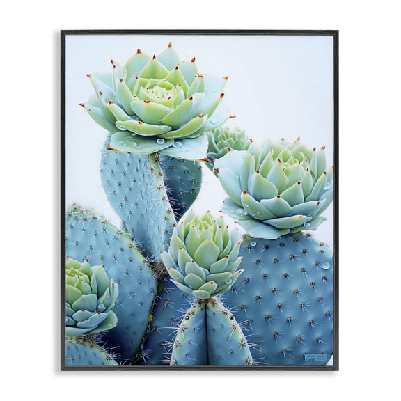 Stupell Industries Contemporary Cactus with Succulent Blooms Black Framed Giclee Art, 11 x 14, by RB