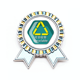 thumbnail image 1 of Reciclaje de desechos. Entorno de atención. Insignia broche Medalla ganadora, 1 of 3