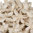 thumbnail image 3 of Vickerman Natural Botanicals 2"-3" Bullet Flower Bleached 50 pcs/unit. Includes 50 pieces per unit., 3 of 4