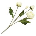 thumbnail image 2 of Bewildely Ramo de flores de peonía artificial de 4 ramas, decoración de simulación, adorno de flores para el hogar y la oficina Flores artificiales blanco Bewildely HA7106-02, 2 of 6