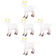 thumbnail image 5 of 5 uds simulación PVC animales de granja cabras corderos ovejas blancas modelo adornos, 5 of 6