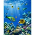 thumbnail image 2 of ABPHOTO Polyester 5x7ft Underwater World Backdrop Aquarium Fancy Coral Colorful Fish Blue Sea Sunshine Lights Summer Sea Journey Ocean Sailing Photography Background Boys Girls Photo Studio Props, 2 of 3