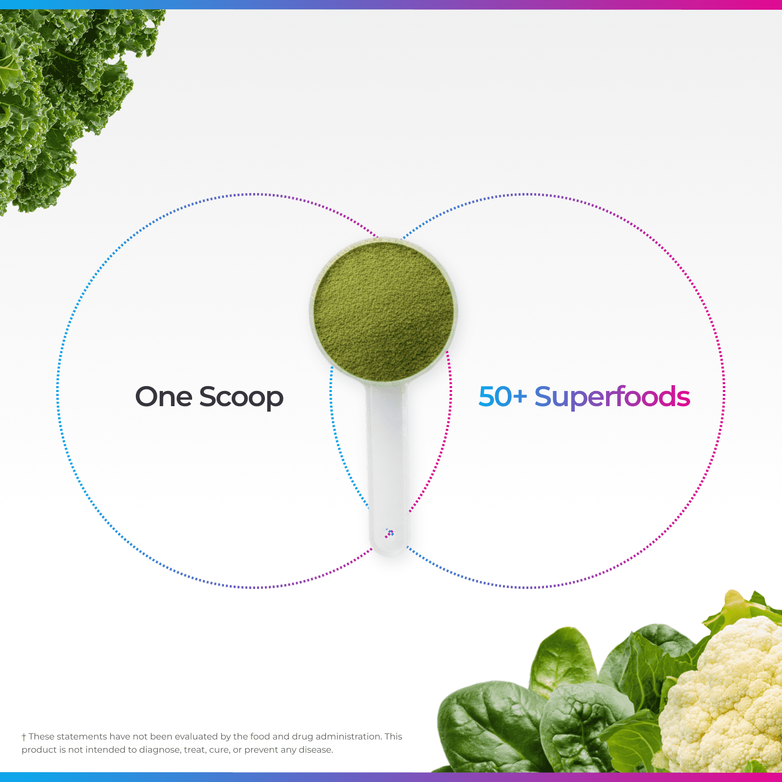 Livingood Daily Greens & Superfood Powder, Super Greens for Gut Health, Green Juice Powder with Spirulina, Chlorella, and Digestive Enzymes, Probiotics for Digestive Support, Original Flavor, 30 Srvg
