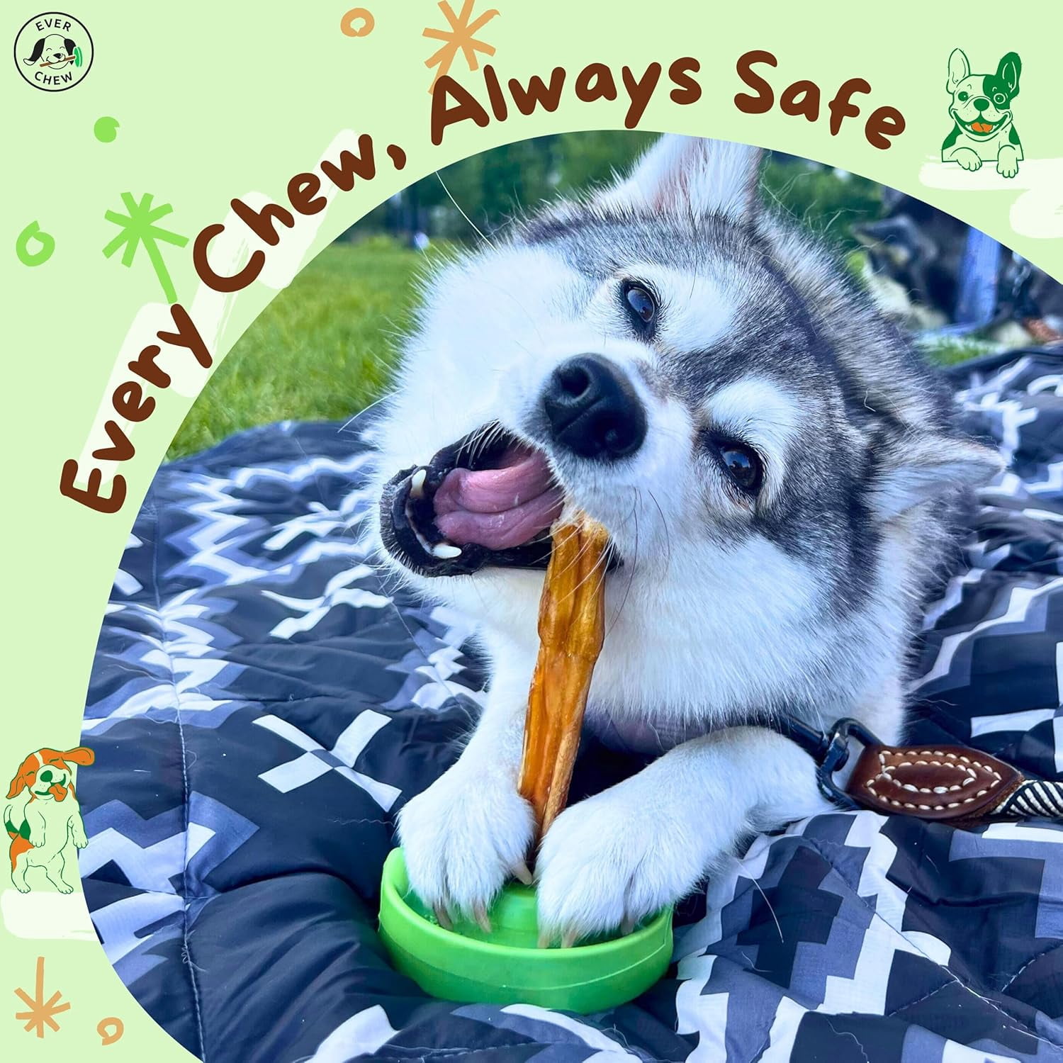 Pre-Drilled Bully Sticks 10 Pack Value - Regular 6" Low-Odor Refills for Small Dogs SafetyChew Holder | Prevents Choking Under 16 lbs Grass-Fed