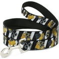 thumbnail image 1 of Disney Pet Leash, Dog Leash, Wall E Poses Stripe Black White, 6 Feet Long 0.5 Inch Wide, 1 of 4