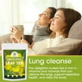 HFU 100 Natural Mullein Tea 50 Bags For Lungs Cleanse & Immune Support