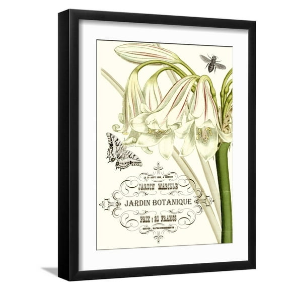 Art.com Jardin Botanique I Art Print by Vision Studio, Black Frame Wall Art, 17" x 21"