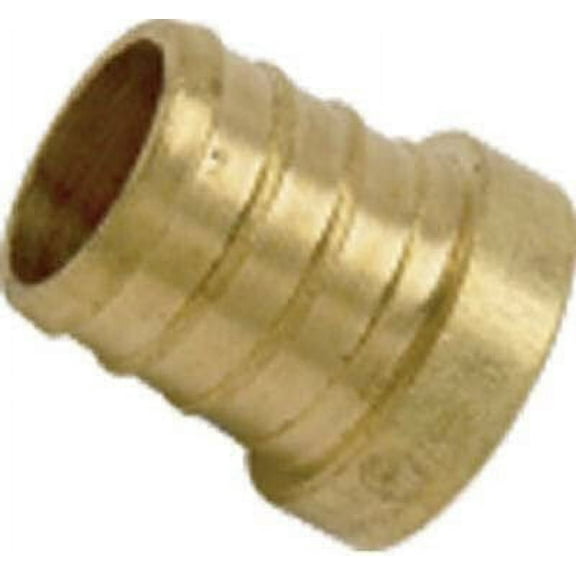 SharkBite Barb Insert Plug Brass Lead-Free - 12 Pack, 3/4 In.