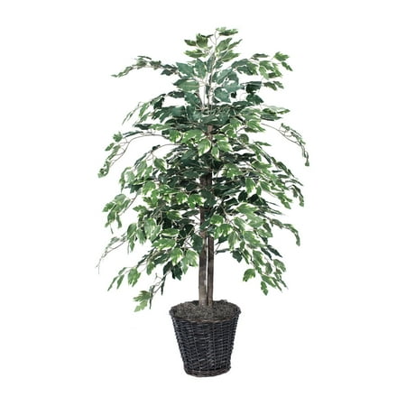 Vickerman 4' Artificial Variegated Ficus Bush in a Rattan Basket