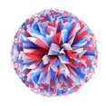 thumbnail image 2 of Hbdhejl 2Pcs Cheerleaders Handheld Color Flower Sports Activities Performance Cheering Supplies Round High Density Color Strip Lightweight Double Finger Ring Buckle Design Anti Slip Off, 2 of 4