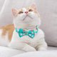 thumbnail image 4 of Paquete de 2 collares para gatos separables con pajarita, collares para gatos con hebilla de seguridad y campana, collares con estampado de verano, 4 of 5