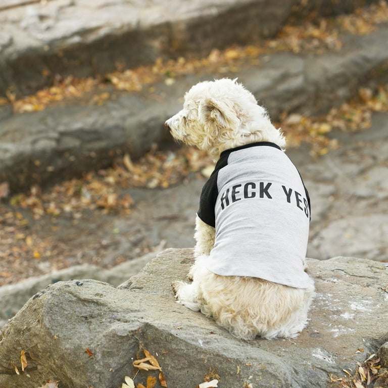 Dog raglan shirt 2025