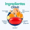 thumbnail image 2 of Pack 6 Frascos de Curcumina Max Nutrientes VidaLabs México, 2 of 5