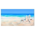 thumbnail image 2 of Seashells on Beach, 2 of 3