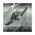 thumbnail image 4 of "Sea Turtle Reflections" - Canvas, 4 of 25