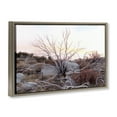 thumbnail image 3 of Stupell Industries Rocky Foothills Terrain Landscape & Nature Photography Brown Floater Framed Canvas Art Print Wall Art, 31 x 21, 3 of 9
