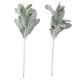 thumbnail image 5 of 10 piezas de hojas de oreja de cordero artificiales flocadas Tallos polvorientos Hojas de roble flocadas Hoja de oreja de cordero para el hogar Boda DIY, 5 of 5