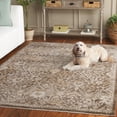 thumbnail image 3 of SAFAVIEH Hazel Marissa Oriental Area Rug, Brown/Ivory, 9' x 12', 3 of 11