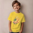 thumbnail image 2 of Byoo Toddler Boy's Short Sleeve T Shirt American Flag Jet Print 4th of July Daily Wear Crewneck Tee Shirt, 2 of 6