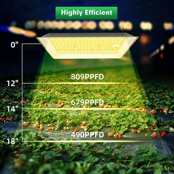 600w Led Grow Lights For Indoor Plants