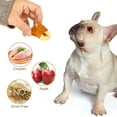 Jungle Calling Dog Treats, Skinless Chicken Wrapped Apple Treats,Gluten