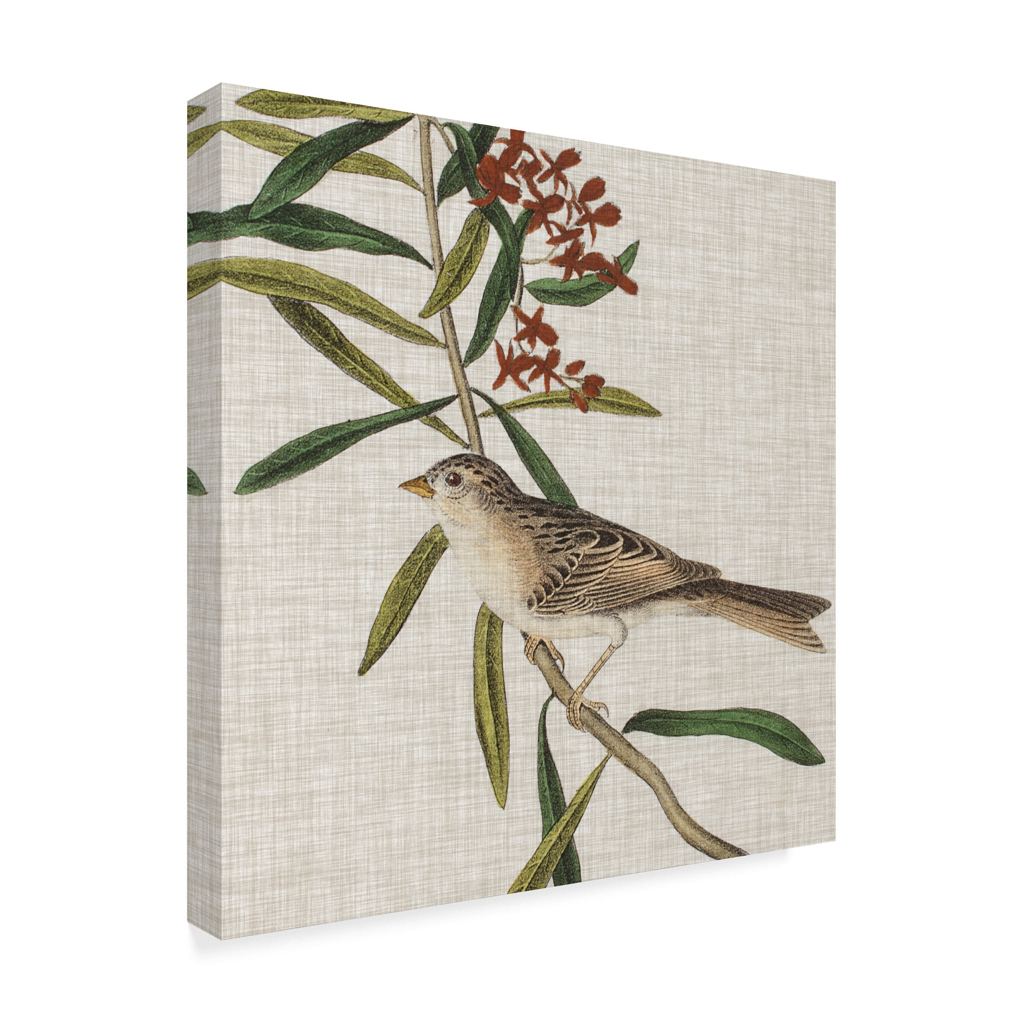 Trademark Fine Art 'Avian Crop VII' Canvas Art by John James Audubon