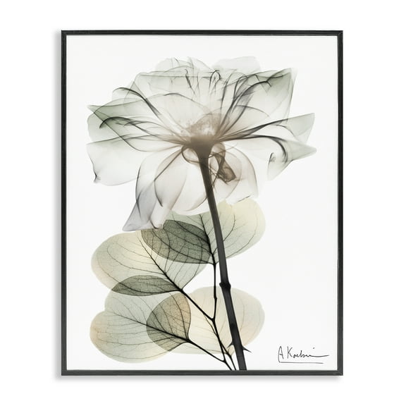 Stupell Industries Modern Minimalist Buds Floral Painting Black Framed Art Print Wall Art, 11 x 14