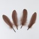 thumbnail image 3 of 2x 50 piezas hermosas plumas de naturales adorno álbumes de recortes de 5 a 8 , bos, fiestas, decoración, artesaní Gloria Ribetes de encaje de plumas grandes, 3 of 8