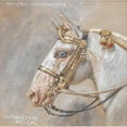 thumbnail image 2 of Alexander Pock 15x15 Gold Ornate Wood Frame and Double Matted Museum Art Print Titled - Horse Portrait Favory Montenegra, 2 of 4