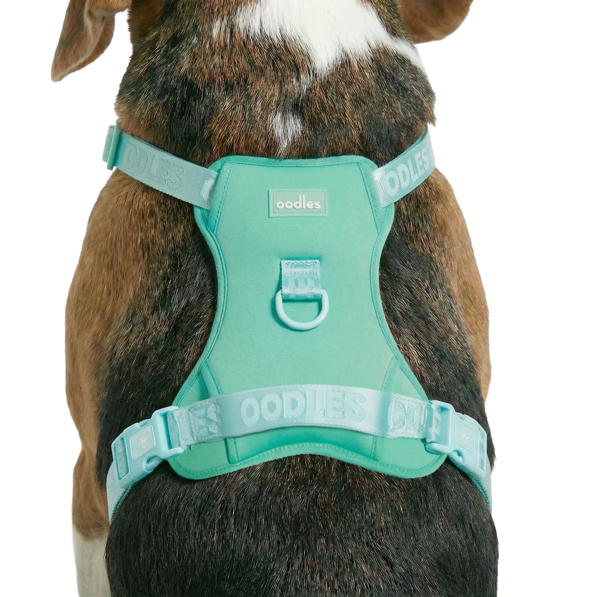Oodles Adjustable Dog Walking Harness with Handle, Green, Medium