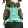 thumbnail image 3 of Oodles Adjustable Dog Walking Harness with Handle, Green, Medium, 3 of 12