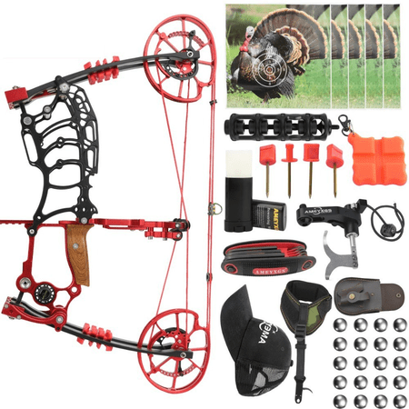 30-70LBS Dual-Use Compound Bow Set Adjustable Steel Balls Arrows Hunting RH LH