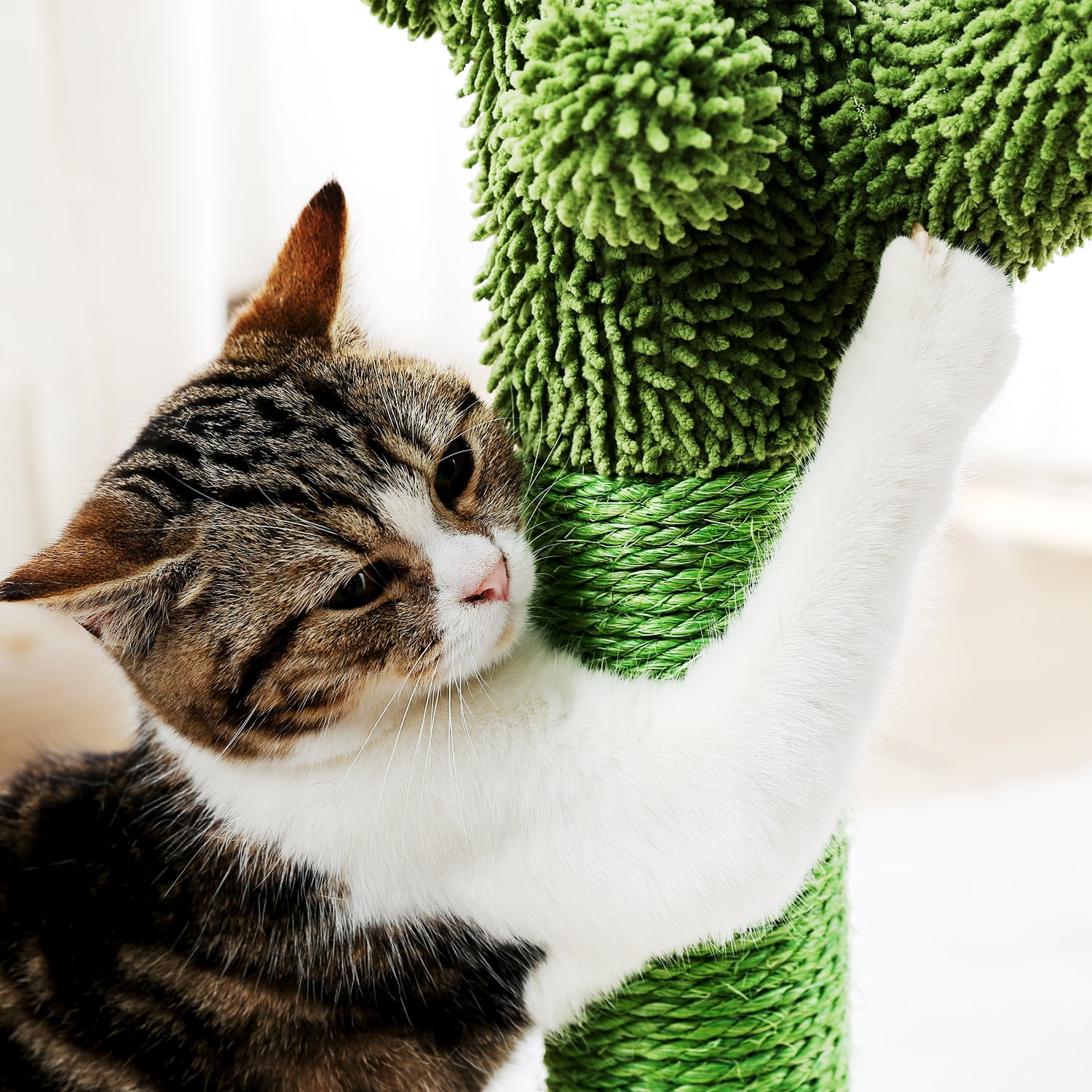 Pefilos 20.7" Cactus Cat Scratching Post for Large Cats Cat Scratcher for Adult Cats with Sisal Rope for Small & Medium Cats Kittens Cat Tree for Indoor Cats, Green Pefilos 20.7" Cactus Cat Scratching Post for Large Cats Cat Scratcher for Adult Cats with Sisal Rope for Small & Medium Cats Kittens Cat Tree for Indoor Cats, Green