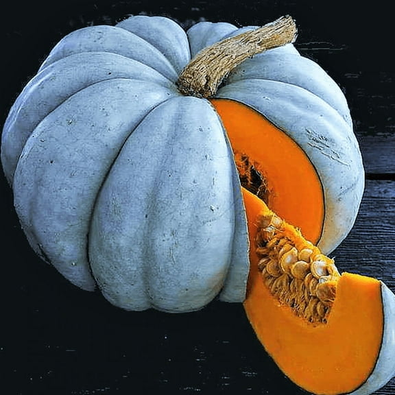 TomorrowSeeds - Jarrahdale Blue Pumpkin Seeds - 30 Count - For 2026 Planting Winter Squash