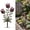A, variant on Whimsical Metal Carnivorous Plant Garden Stake Large Venus Fly Trap Live Plant Sculpture Outdoor Yard Art Venus Flytrap Decor for Flower Beds Patios (B)