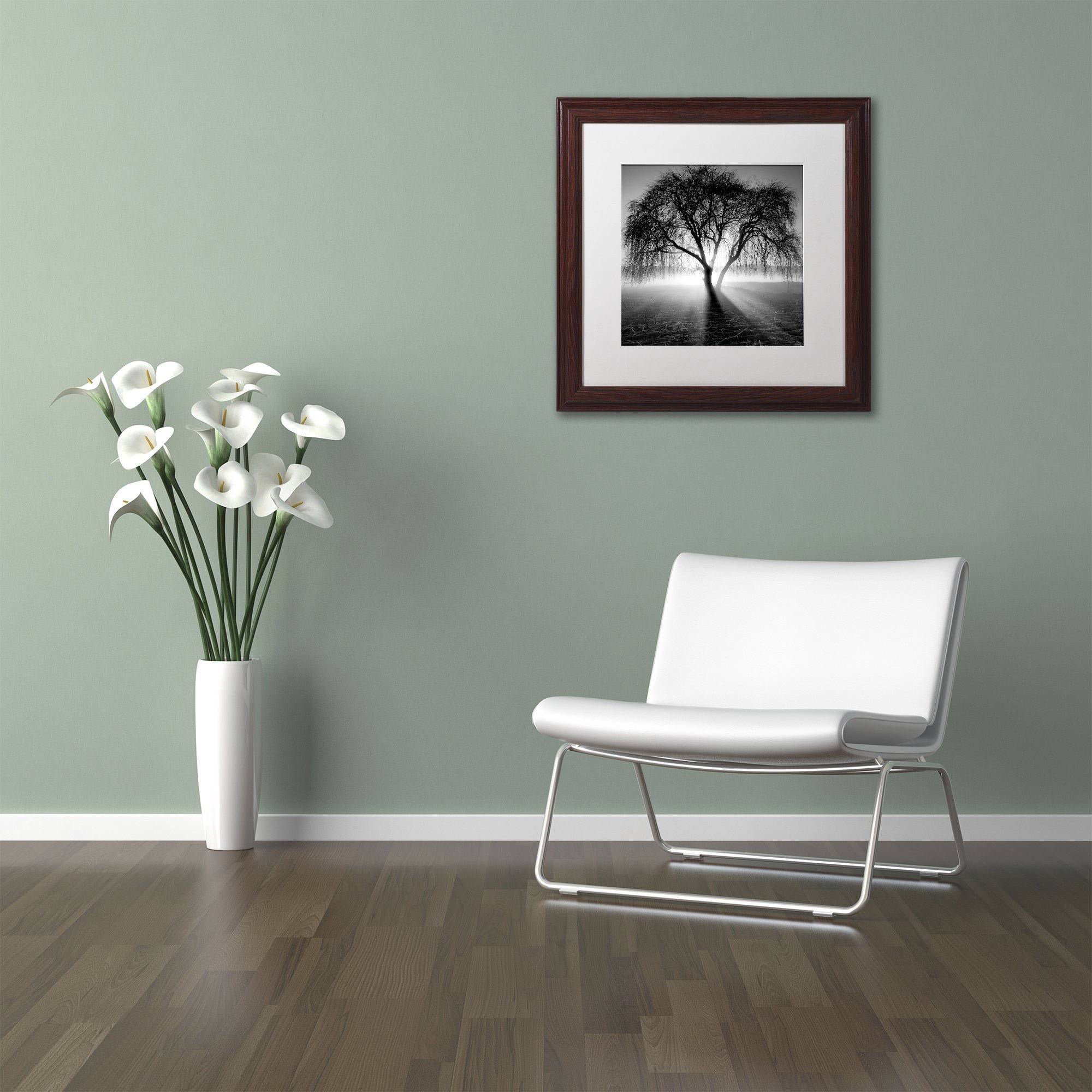 Trademark Fine Art "Lightning Tree I" Canvas Art by Moises Levy White Matte, Wood Frame