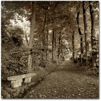 Trademark Fine Art "Fiesole Giardini II" Canvas Art by Alan Blaustein