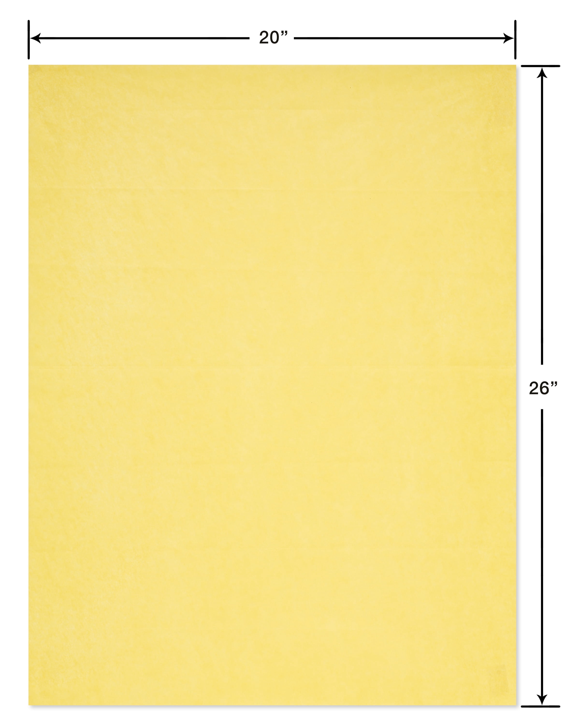American Greetings Bold Multi Color Tissue paper, 40 Sheets
