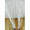 thumbnail image 2 of Natural Beech Branches Sparkled White (9 Branches), 2 of 4